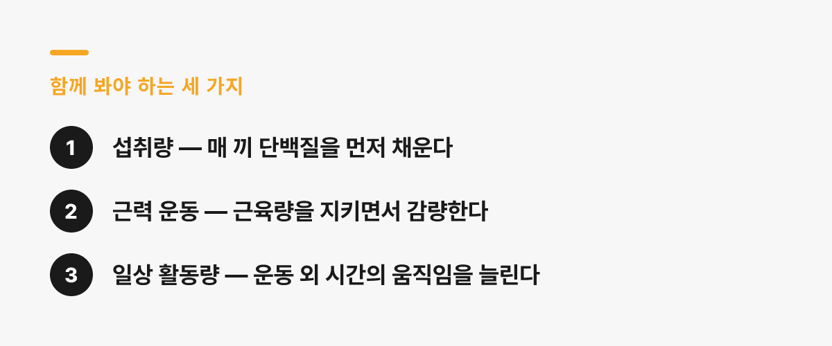 함께 봐야 하는 세 가지 — 섭취량, 근력 운동, 일상 활동량
