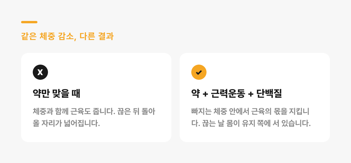 약만 맞을 때와 근력운동·단백질을 함께할 때, 같은 체중 감소가 다른 결과로 이어지는 이유