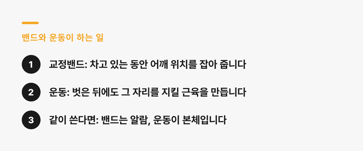 교정밴드와 운동이 하는 일 — 밴드는 차고 있는 동안 어깨 위치를 잡고, 운동은 벗은 뒤 그 자리를 지킬 근육을 만든다